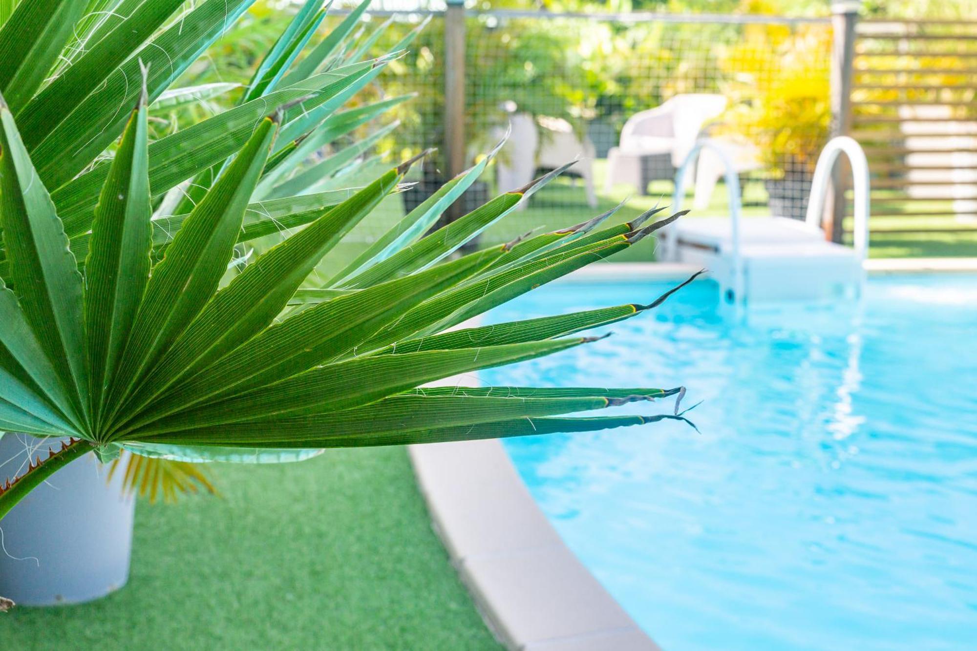 Zandoli Exotic Residence Sainte-Anne  Bagian luar foto